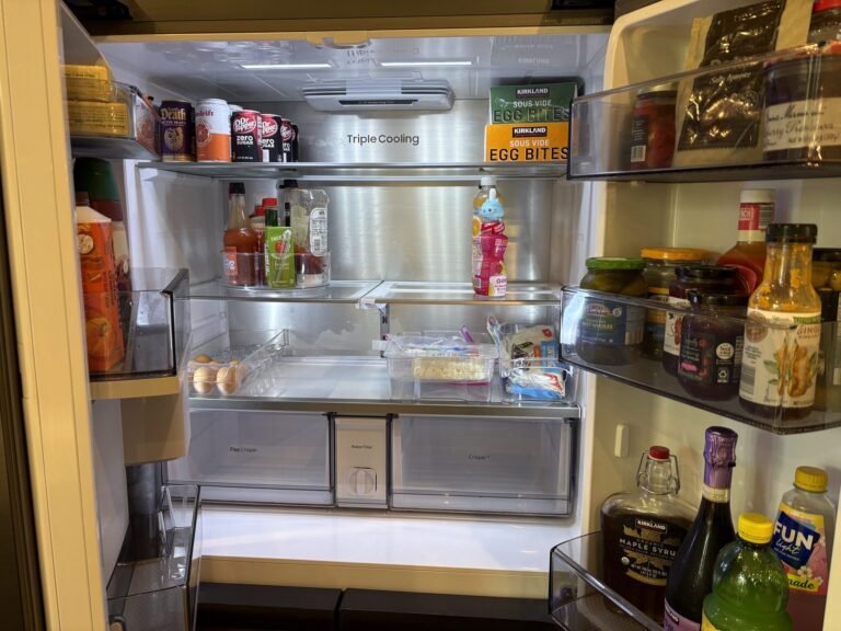 Refrigerator cleaned and organized by Brissa LLC
